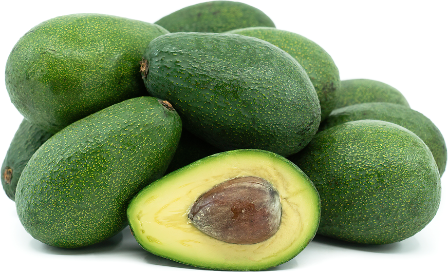 Avocados prepared for export buyers